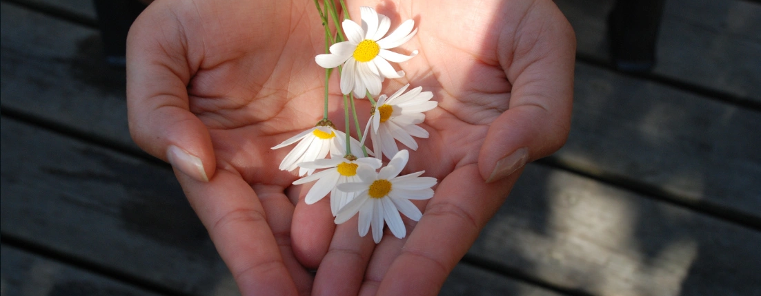 Hoe bewaak je een goede balans tussen geven en nemen? Door de juiste tips toe te passen en eventueel de inzet van NEI therapie kun je leren dat je niet meer de grens van overmatig geven over gaat. Joyce van Coaching with Joy helpt je graag bij het vinden van deze balans, wat er voor zorgt dat je jezelf niet langer weggeeft.