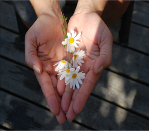 Individuele coaching bij Coaching with Joy is mogelijk om een zo goed mogelijk afgestemd traject te bieden.